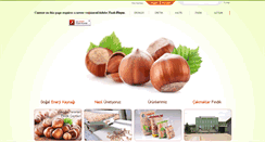 Desktop Screenshot of cakmaklarfindik.com