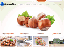 Tablet Screenshot of cakmaklarfindik.com